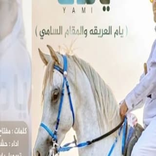 اغنية يامي حشان ال منجم بالكلمات كلمات اغنية يامي حشان ال منجم مكتوبة كاملة