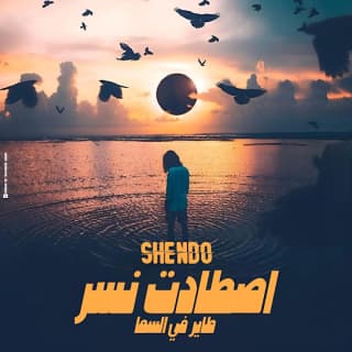 اغنية اصطادت نسر طاير في السماء شيندو بالكلمات كلمات اغنية اصطادت نسر طاير في السماء شيندو مكتوبة كاملة