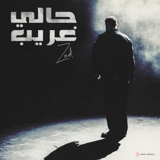 اغنية حالي غريب زاد بالكلمات كلمات اغنية حالي غريب زاد مكتوبة كاملة