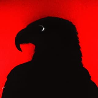 اغنية زي الأول مصطفى النسر بالكلمات كلمات اغنية زي الأول مصطفى النسر مكتوبة كاملة