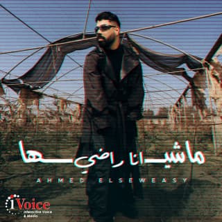 اغنية ماشيها انا راضي احمد السويسي بالكلمات كلمات اغنية ماشيها انا راضي احمد السويسي مكتوبة كاملة