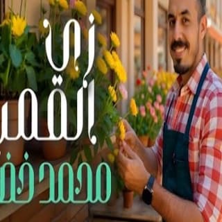 اغنية زي القمر محمد خضير بالكلمات كلمات اغنية زي القمر محمد خضير مكتوبة كاملة