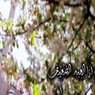 اغنية انا العبد الضعيف محمد خضير بالكلمات كلمات اغنية انا العبد الضعيف محمد خضير مكتوبة كاملة