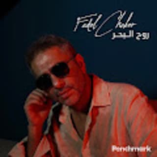 اغنية روح البحر فضل شاكر بالكلمات كلمات اغنية روح البحر فضل شاكر مكتوبة كاملة