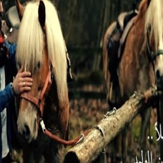 اغنية قاطعتُ ليلاً يامن الوليد بالكلمات كلمات اغنية قاطعتُ ليلاً يامن الوليد مكتوبة كاملة