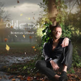 اغنية وجع إيام برهان الشعار بالكلمات كلمات اغنية وجع إيام برهان الشعار مكتوبة كاملة