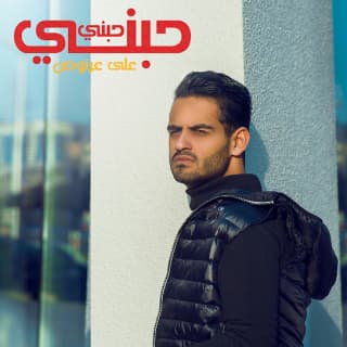 اغنية حبني حبني علي عرنوص بالكلمات كلمات اغنية حبني حبني علي عرنوص مكتوبة كاملة