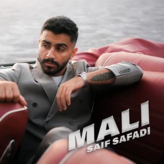 اغنية مالي سيف الصفدي بالكلمات كلمات اغنية مالي سيف الصفدي مكتوبة كاملة