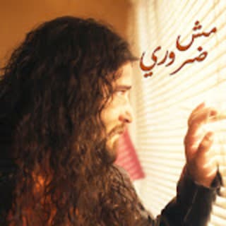 اغنية مش ضروري سليم طربيه بالكلمات كلمات اغنية مش ضروري سليم طربيه مكتوبة كاملة