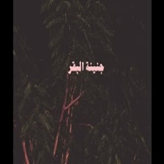 اغنية هستيريا أبيوسف بالكلمات كلمات اغنية هستيريا أبيوسف مكتوبة كاملة