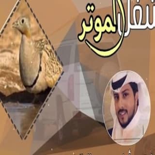 اغنية شغل الموتر محمد الدلان بالكلمات كلمات اغنية شغل الموتر محمد الدلان مكتوبة كاملة
