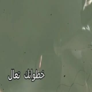 اغنية لو تعاندني الظروف وليد الشهري بالكلمات كلمات اغنية لو تعاندني الظروف وليد الشهري مكتوبة كاملة