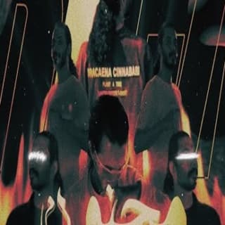 اغنية مجنون لريكل بالكلمات كلمات اغنية مجنون لريكل مكتوبة كاملة