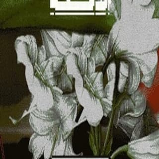 اغنية الدمعة ويجز بالكلمات كلمات اغنية الدمعة ويجز مكتوبة كاملة