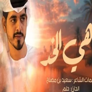 اغنية باهي الخد عمر سهيل بالكلمات كلمات اغنية باهي الخد عمر سهيل مكتوبة كاملة