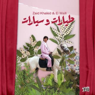 اغنية ليالي زيد خالد بالكلمات كلمات اغنية ليالي زيد خالد مكتوبة كاملة