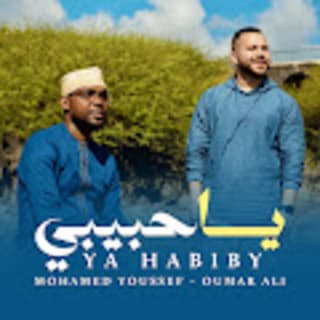 اغنية يا حبيبي محمد يوسف بالكلمات كلمات اغنية يا حبيبي محمد يوسف مكتوبة كاملة
