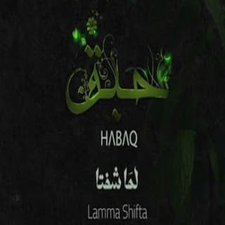 اغنية لمّا شفتا ميس حرب بالكلمات كلمات اغنية لمّا شفتا ميس حرب مكتوبة كاملة