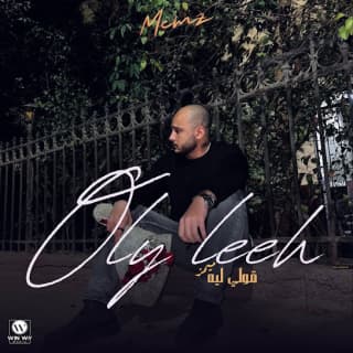 اغنية قولي ليه ميمز بالكلمات كلمات اغنية قولي ليه ميمز مكتوبة كاملة